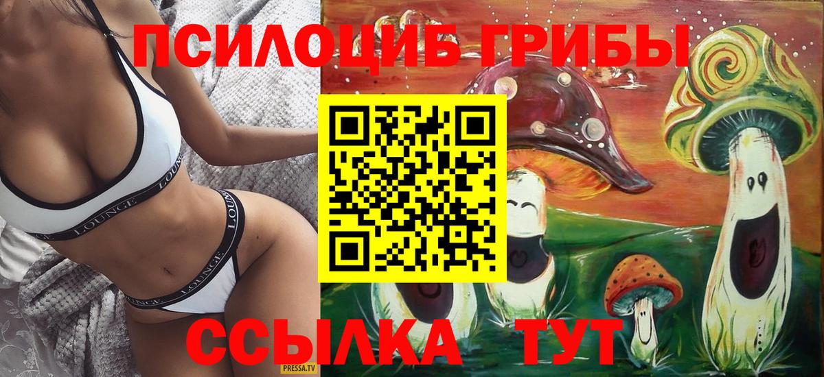 Псилоцибиновые грибы Psilocybe Усинск